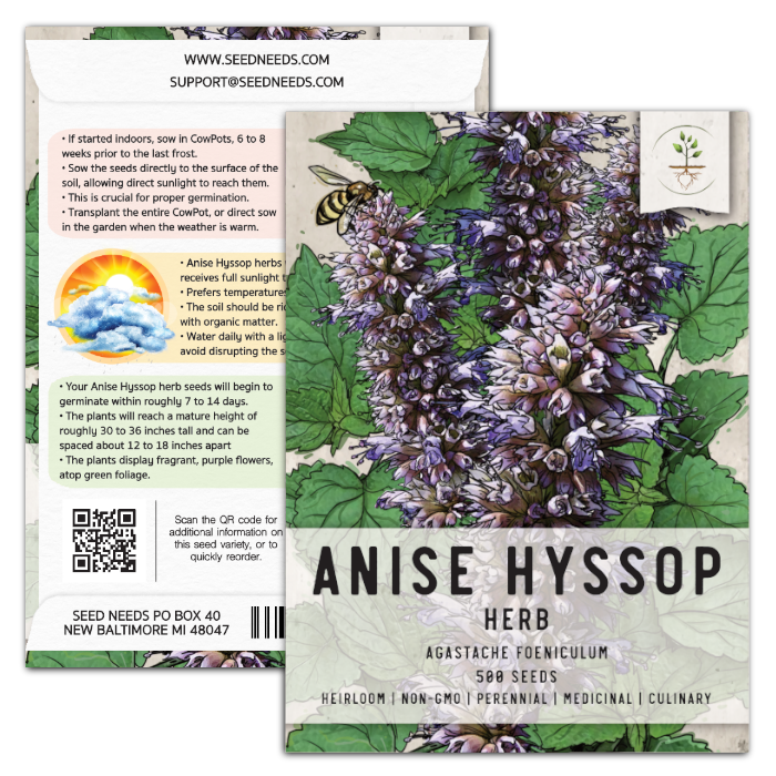 Anise Hyssop Herb Seeds For Planting (Agastache foeniculum) Seed Needs